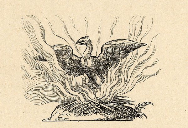 fenix